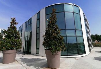 Location bureau Mauguio (34130) - 280 m²  à Mauguio - 34130