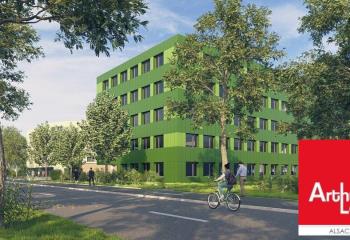 Bureaux à louer - Proche tram et bus