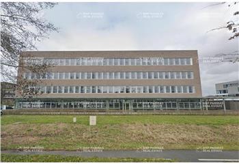 Bureaux à louer sur le Parc de la Haute Borne  à Villeneuve-d'Ascq - 59491