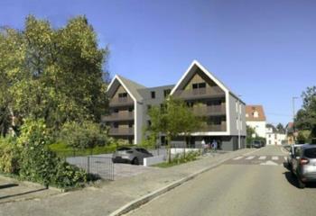 Local commercial à louer centre - Accès direct  à Oberhausbergen - 67205