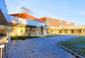 Location local commercial Villeneuve-d'Ascq (59650) - 501 m²  à Villeneuve-d'Ascq - 59491