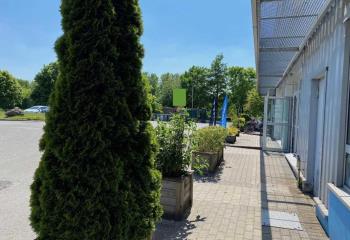 Location local commercial Wambrechies (59118) - 591 m²