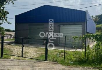 Location activité/entrepôt Baie-Mahault (97122) - 440 m²  à Baie-Mahault - 97122