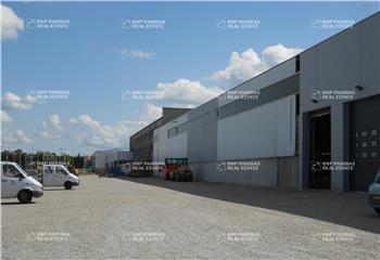 Location activité/entrepôt Bouxwiller (67330) - 5000 m²  à Bouxwiller - 67330