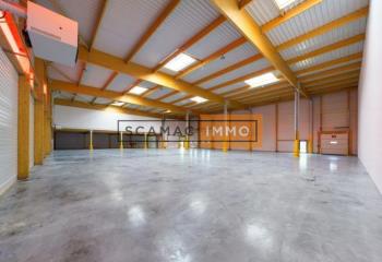 Local d'activités à louer - Proche N104/N19  à Brie-Comte-Robert - 77170
