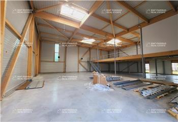 Location locaux d'activité - Parc neuf  à Chanteloup-en-Brie - 77600