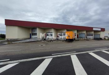 Local d'activité à louer - Accès direct A46 et aéroport  à Corbas - 69960