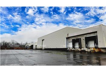 Location local d'activité - Proche N104  à Croissy-Beaubourg - 77183