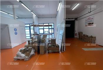 Location cellule d'activité - Proche transports  à Croissy-Beaubourg - 77183