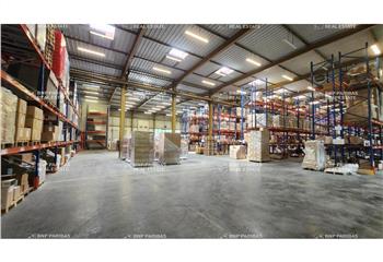 Location activité/entrepôt Croissy-Beaubourg (77183) - 3256 m²  à Croissy-Beaubourg - 77183