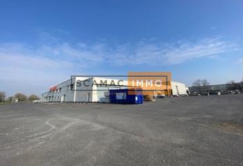 Location activité/entrepôt Croissy-Beaubourg (77183) - 5391 m²  à Croissy-Beaubourg - 77183