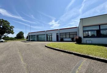 Location activité/entrepôt Eckbolsheim (67201) - 258 m²  à Eckbolsheim - 67201