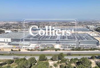 Location activité/entrepôt Ensuès-la-Redonne (13820) - 40000 m²  à Ensuès-la-Redonne - 13820