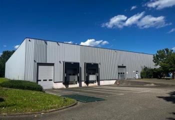 Location activité/entrepôt Erstein (67150) - 3618 m²  à Erstein - 67150