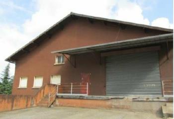 Local d'activité à louer - 20 min de Lyon  à Fleurieu-sur-Saône - 69250
