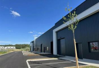 Location activité/entrepôt Goxwiller (67210) - 838 m²  à Goxwiller - 67210