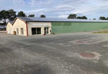 Local d'activité à louer - Proximité A660  à Gujan-Mestras - 33470