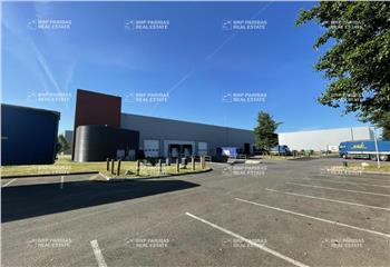 Location activité/entrepôt Lieusaint (77127) - 3290 m²  à Lieusaint - 77127