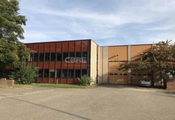 Location activité/entrepôt Lingolsheim (67380) - 2054 m²  à Lingolsheim - 67380