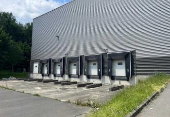 Location activité/entrepôt Lognes (77185) - 13098 m²  à Lognes - 77185
