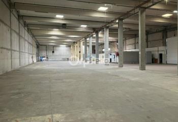 Location activité/entrepôt Longvic (21600) - 3000 m²
