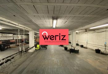 Location activité/entrepôt Marseille 9 (13009) - 585 m²