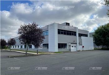Location activité/entrepôt Massy (91300) - 2083 m²