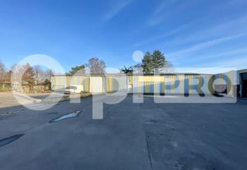 Location activité/entrepôt Muizon (51140) - 850 m²