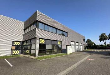 Location activité/entrepôt Niederhausbergen (67207) - 855 m²  à Niederhausbergen - 67207