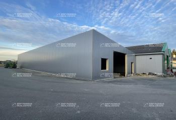 Location local d'activité - ZA du Hill  à Noyal-Châtillon-sur-Seiche - 35230