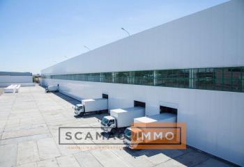 Location entrepôt - Proche A40  à Pont-d'Ain - 01160