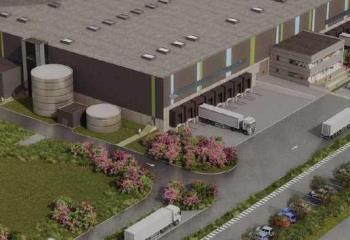 Location activité/entrepôt Port-Saint-Louis-du-Rhône (13230) - 40000 m²  à Port-Saint-Louis-du-Rhône - 13230