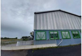 Location activité/entrepôt Rignieux-le-Franc (01800) - 1408 m²  à Rignieux-le-Franc - 01800