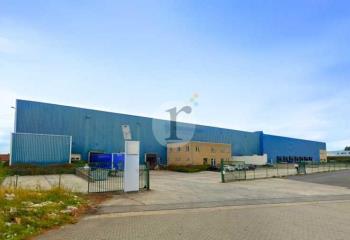 Location activité/entrepôt Roncq (59223) - 6805 m²  à Roncq - 59223