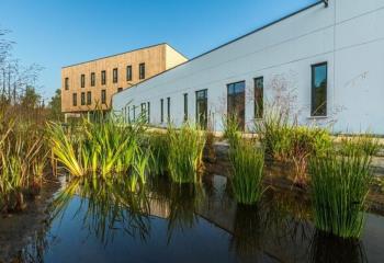 Locaux d'activités mixtes à louer - Technopole du Madrillet  à Saint-Étienne-du-Rouvray - 76800
