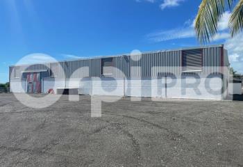 Location local d'activité - situé dans la ZAC  à Saint-François - 97118