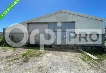 Location activité/entrepôt Saint-François (97118) - 520 m²  à Saint-François - 97118
