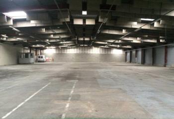 Location cellule d'activités - Proche A10 et RD 2060  à Saint-Jean-de-Braye - 45800