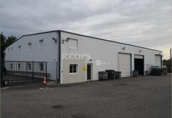 Location activité/entrepôt Saint-Jean (31240) - 720 m²  à Saint-Jean - 31240