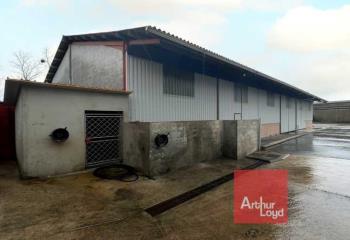Location activité/entrepôt Saint-Sulpice (81370) - 1504 m²