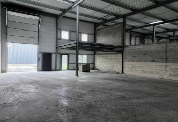 Location activité/entrepôt Sarrebourg (57400) - 236 m²  à Sarrebourg - 57400