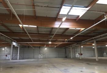 Location activité/entrepôt Sausheim (68390) - 5335 m²  à Sausheim - 68390