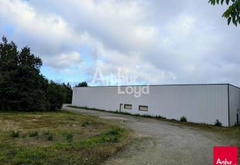 Location entrepôt - Axe Rennes-Paris  à Servon-sur-Vilaine - 35530