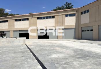 Location activité/entrepôt Sophia Antipolis (06560) - 544 m²  à Sophia Antipolis - 06560