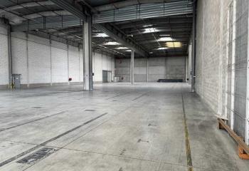 Location activité/entrepôt Strasbourg (67100) - 13791 m²  à Strasbourg - 67000