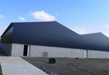 Location activité/entrepôt Thérouanne (62129) - 1600 m²  à Thérouanne - 62129