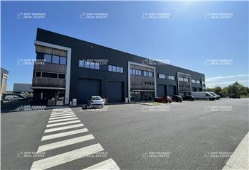 Location activité/entrepôt Vaires-sur-Marne (77360) - 291 m²  à Vaires-sur-Marne - 77360