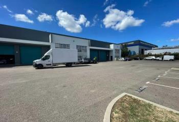 Location activité/entrepôt Vénissieux (69200) - 255 m²