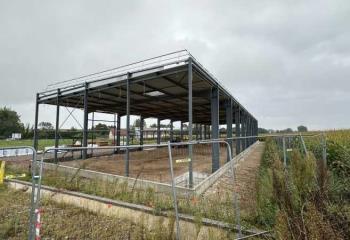 Location activité/entrepôt Wingersheim (67170) - 336 m²  à Wingersheim - 67170