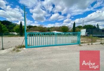 Location terrain Cournonterral (34660) - 800 m²  à Cournonterral - 34660